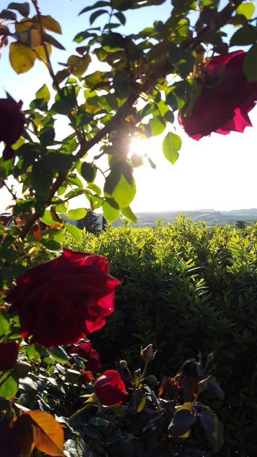 Sunset Hill - Tuscany - Villa & Private Pool Castelfiorentino Εξωτερικό φωτογραφία