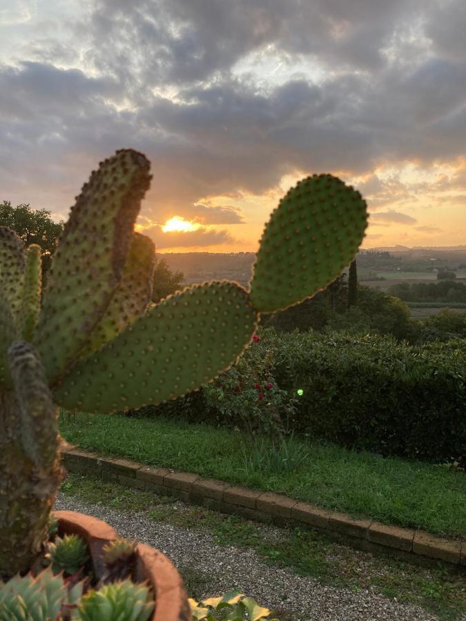Sunset Hill - Tuscany - Villa & Private Pool Castelfiorentino Εξωτερικό φωτογραφία